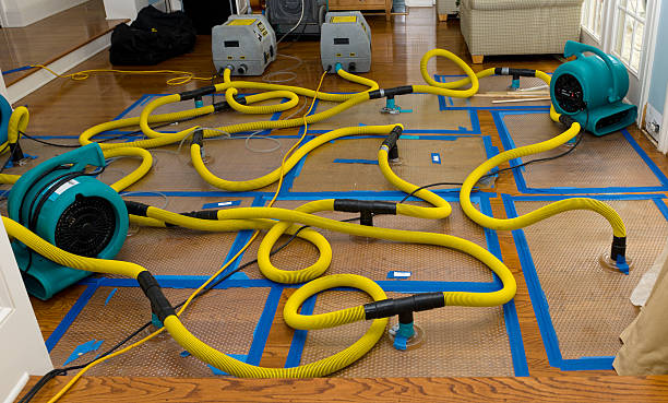 Professional Burst Pipe Water Damage technician working in Milton, GA